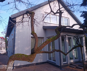 Senų medinių namų renovacija,rekonstrukcija / Aivaras / Darbų pavyzdys ID 1954431