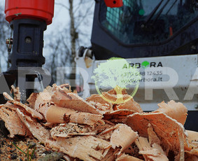 Teritorijų Priežiūra / Apleistų Sklypų Tvarkymas / UAB ARBORA LT / Darbų pavyzdys ID 1956365
