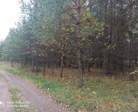 Mi&scaron;kininkai - Apleistų žemių tvarkymas (Mokame Pinigus ) - 1