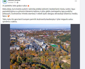Kūrybiškų tekstų kūrėja / Judita Paužuolytė / Darbų pavyzdys ID 1965131