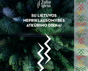 Grafikos dizaino studija  Skaitmeninio marketingo dizainas / Rokas Pocius / Darbų pavyzdys ID 1966734
