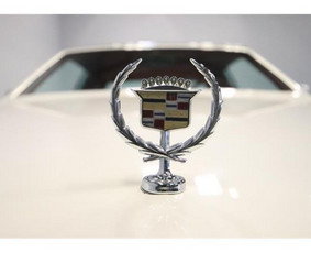 Cadillac Eldorado nuoma / Giedrė Arminė / Darbų pavyzdys ID 1967056