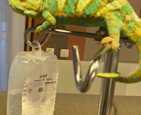 Medicininės paslaugos namuose (licencijuota įmonė) / Slauga ir priežiūra / Darbų pavyzdys ID 1971748