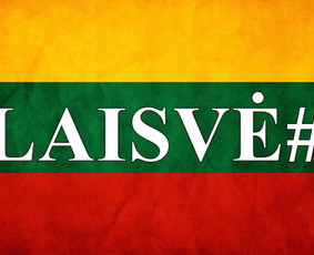 Muzika Jūsų šventei / Darius Brazdeikis / Darbų pavyzdys ID 1976216