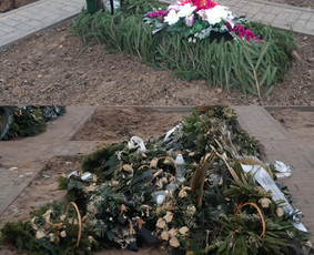 Kapų priežiūra ir tvarkymas visoje Lietuvoje – Eram Service / Eram service / Darbų pavyzdys ID 1979026