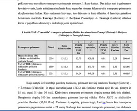Kitos kategorijos - Konsultuoju dėl rašto darbų rašymo / teksto redagavimas - 1