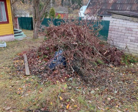 Šiukšliu išvežimas / Įvairių šiukšlių išvežimas / Darbų pavyzdys ID 1992318