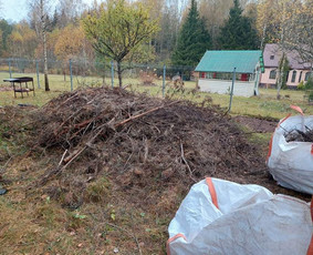 Šiukšliu išvežimas / Įvairių šiukšlių išvežimas / Darbų pavyzdys ID 1992334