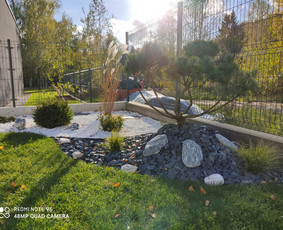 Kiemo, aplinkos apželdinimas - Vejos skarifikavimas,apželdinimo darbai - 1