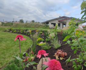 Kiemo, aplinkos apželdinimas - Vejos skarifikavimas,apželdinimo darbai - 3