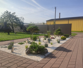 Kiemo, aplinkos apželdinimas - Vejos skarifikavimas,apželdinimo darbai - 2