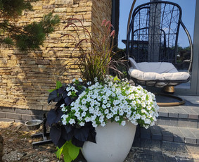 Augalų ir medelių sodinimas - Vejos skarifikavimas,apželdinimo darbai - 1