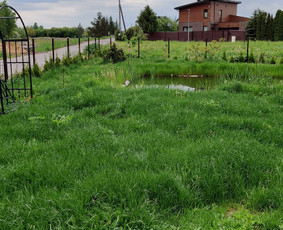 Apželdinimo, aplinkos tvarkymo ir žemės darbai. / UAB "Tvarkingas kiemas" / Darbų pavyzdys ID 2001300