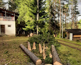 Avariniu medžių pjovimas, vaismedžių genejimas. / Aplinkos tvarkymas / Darbų pavyzdys ID 2009288