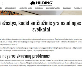 Tekstų rašymas: Seo, prekių aprašymai, facebook įrašai ir kt / Ieva Liubšytė / Darbų pavyzdys ID 2010790