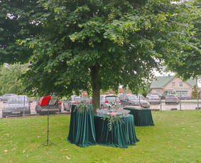 Saksofonistas Tadas jūsų renginiams / Tadas Bružas / Darbų pavyzdys ID 2013858