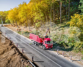 Bobcat, Vejos Įrengimas, Grėblys, Greideris, Purentuvas, kt. - Šakų išvežimas - 2 Šakų išvežimas - Bobcat, Vejos Įrengimas, Grėblys, Greideris, Purentuvas, kt. - 2