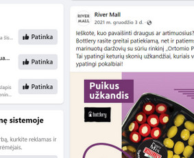 Tekstų rašymas: Seo, prekių aprašymai, facebook įrašai ir kt / Ieva Liubšytė / Darbų pavyzdys ID 2016042