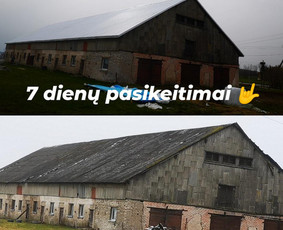 Visi stogų keitimo/ įrengimo darbai geriausiomis kainomis / Šarūnas Mikalauskas / Darbų pavyzdys ID 2025696