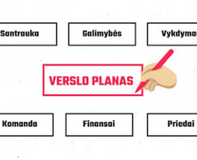 Profesionalios konsultacijos ir pagalba / Konsultantė Jurgita / Darbų pavyzdys ID 2028012