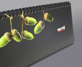 Firminio stiliaus kūrimas - Grafikos dizainerė - 1