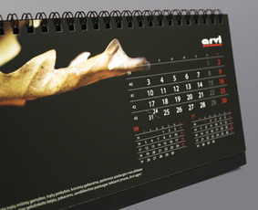 Firminio stiliaus kūrimas - Grafikos dizainerė - 2