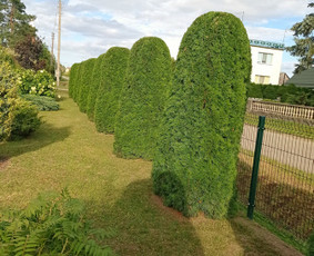 Landšafto dizainas, sodininko paslaugos / Sodo Genys / Darbų pavyzdys ID 2038242
