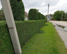 Landšafto dizainas, sodininko paslaugos / Sodo Genys / Darbų pavyzdys ID 2038244