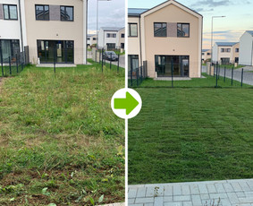 Kraštovaizdžio projektavimas, apželdinimas / MB MAMAFLORA / Darbų pavyzdys ID 2038420