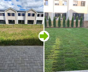 Kraštovaizdžio projektavimas, apželdinimas / MB MAMAFLORA / Darbų pavyzdys ID 2038422