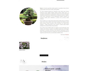 Internetinė svetainė įmonei auginančiai ir prekiaujančiai bonsai pušelėmis: https://bonsai-puseles.lt