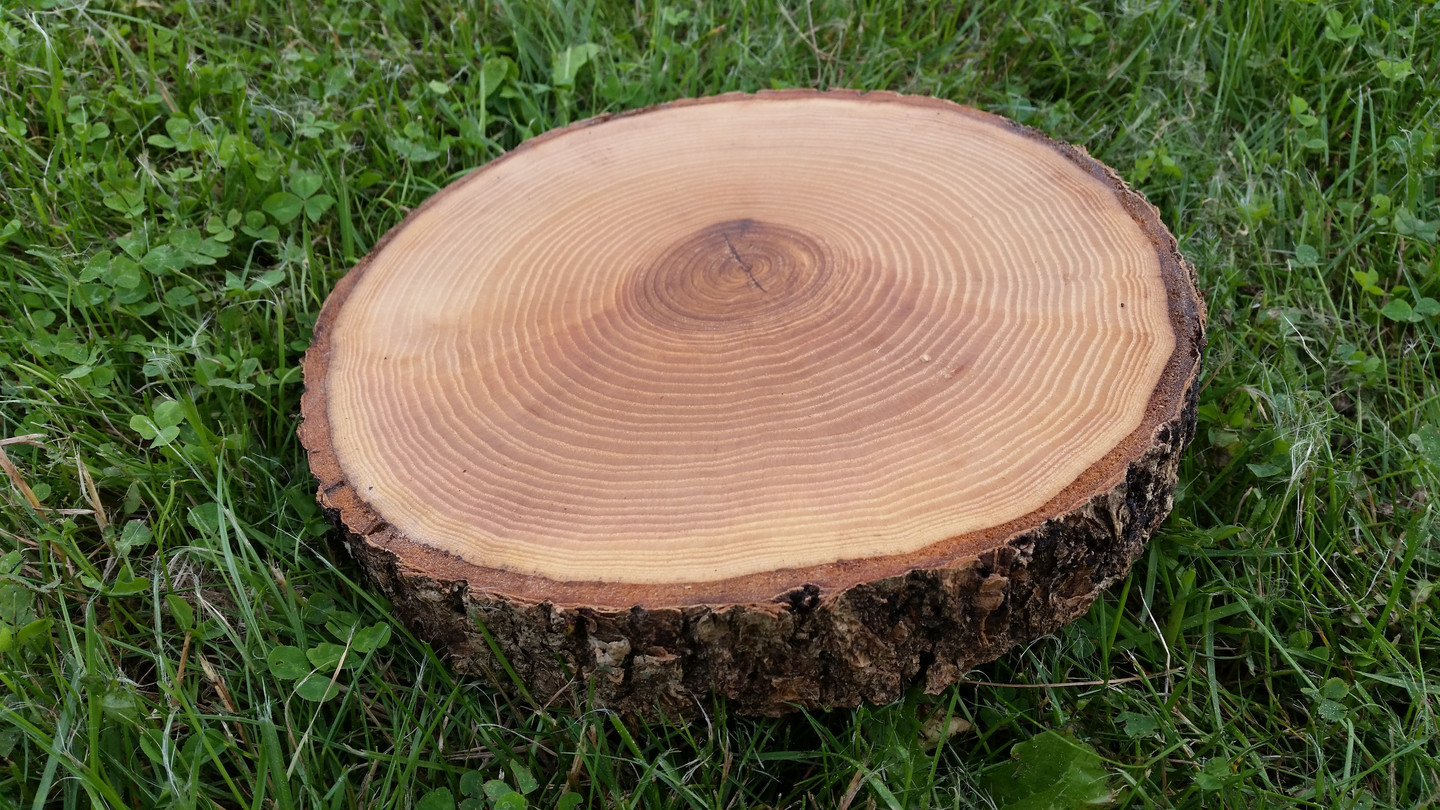 Uosio medienos padėklai (ripkos) impregnuoti aliejumi.
Storis 2-3 cm, diametras 18-26 cm