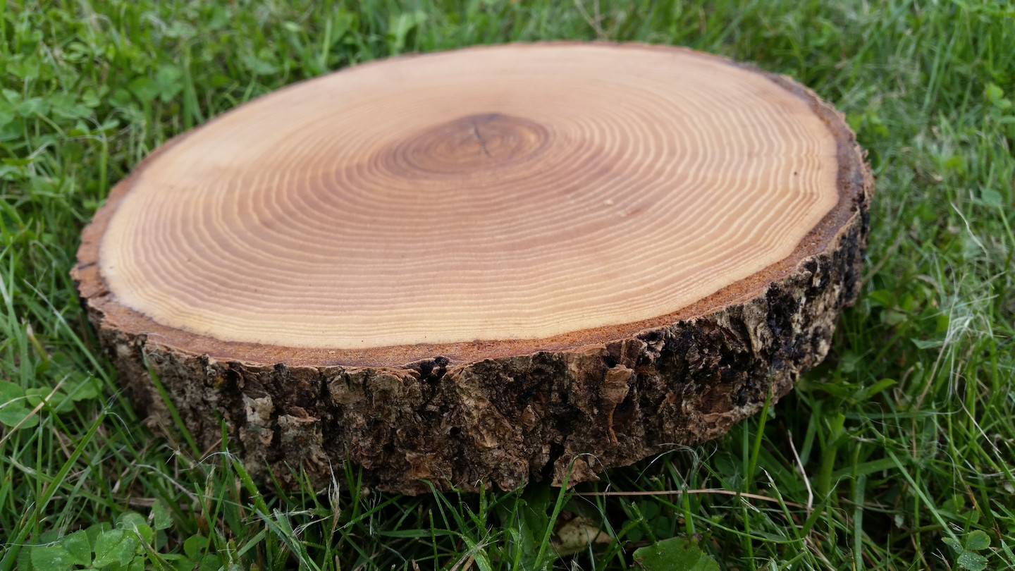 Uosio medienos padėklai (ripkos) impregnuoti aliejumi.
Storis 2-3 cm, diametras 18-26 cm
