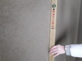 Mindaugas Keleckas