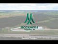 Mindaugas Bilevičius