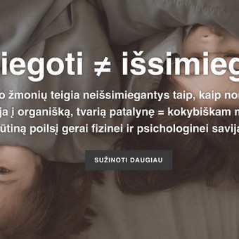 SEO straipsnių rašymas Kaunas Aistė G nuotrauka 4