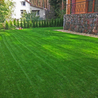 Vejos pjovimas ir priežiūra Vilnius Žaliasis dizainas nuotrauka 10