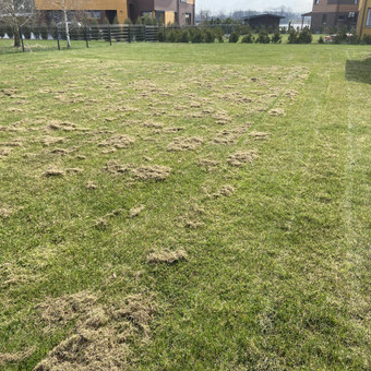 Vejos aeravimas/skalifikavimas Vilnius Uab Graminus nuotrauka 2