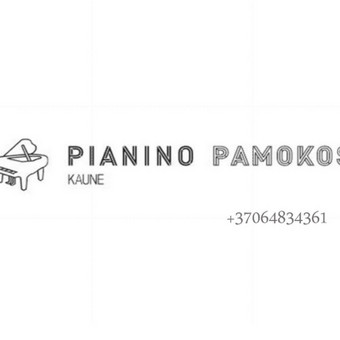 Muzikos harmonijos pamokos Kaunas Pianino pamokos Kaune/nuotoliniu nuotrauka 4
