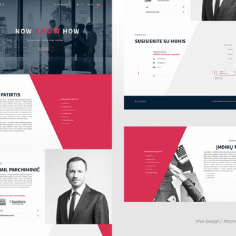 Svetainių dizainas (web design) Vilnius Ina Bieliokaitė nuotrauka 3
