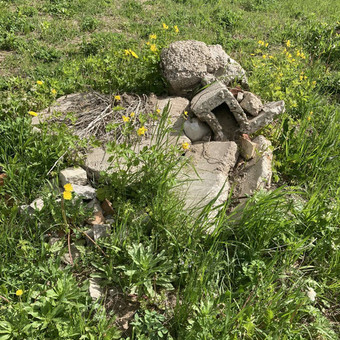 Paslauga