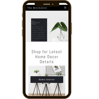 Dropshipping parduotuvės sukūrimas Vilnius ISK - internetinių svetainių kūrimas nuotrauka 9