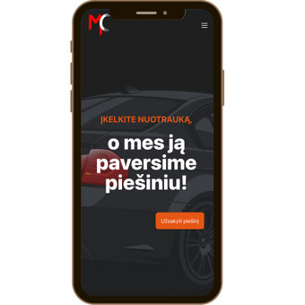 Programavimas su WordPress Vilnius ISK - internetinių svetainių kūrimas nuotrauka 6