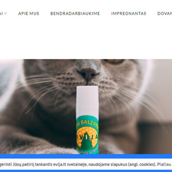 Paslauga