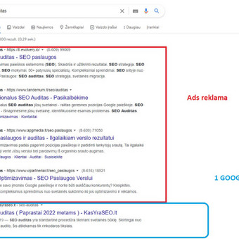 Svetainės Greičio Optimizacija ( wordpress) Kaunas Tomas Valiūnas nuotrauka 6