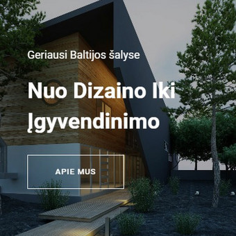 Programavimas su WordPress Vilnius Interneto svetainių kūrimas nuotrauka 6