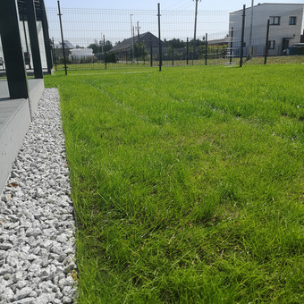 Vejos įrengimas: sėjimas, ruloninė veja Kaunas MB Sėja Veją nuotrauka 2