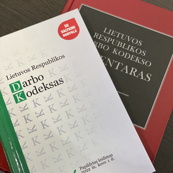 Darbo teisės paslaugos Kaunas Monika Kauževičienė nuotrauka 4