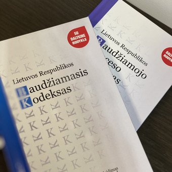 Baudžiamosios teisės paslaugos Kaunas Monika Kauževičienė nuotrauka 3