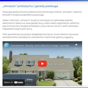 Straipsnių rašymas Vilnius Jelena Kirpa nuotrauka 1